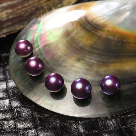 Live Farmed Eddison Pearls(One oyster-only one pearl)