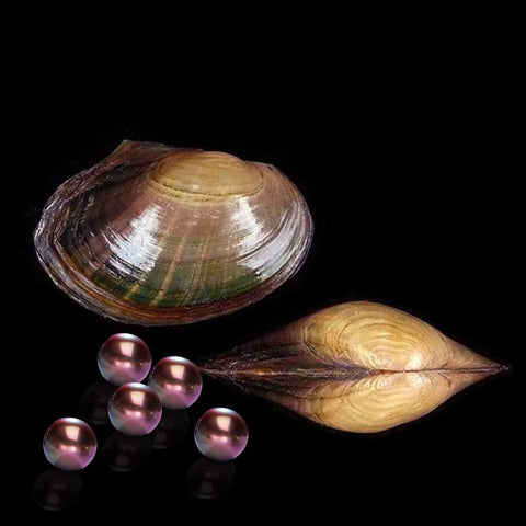 Live Farmed Eddison Pearls(One oyster-only one pearl)