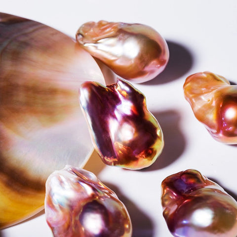 Live Baroque OYSTERS FRESH WATER Pearls